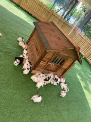 -萌宠亲子动物乐园(槐房万达店)