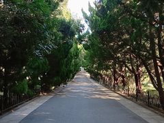 -八大关景区