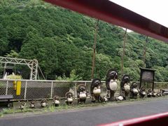 -岚山嵯峨野观光小火车