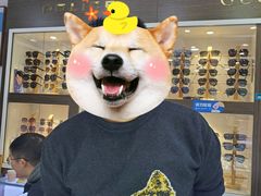 -中国丹阳眼镜城