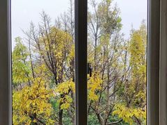 -星海音乐学院(沙河校区)