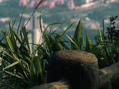 -梧桐山风景名胜区