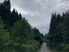 -武陵山森林公园