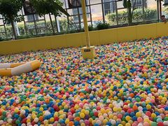 -南宫五洲植物乐园