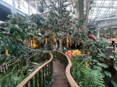 -正佳雨林生态植物园