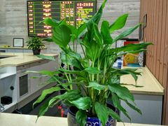 -中影国际影城(芜湖镜湖联盛店)