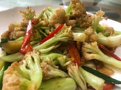 -天成川菜馆(华乐店)