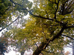 android_upload_pic-八大关景区