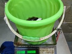 -老船夫石锅苗苗鱼·老字号(三道堰总店)