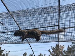 -西霞口神雕山野生动物世界