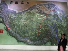 -青藏高原自然博物馆