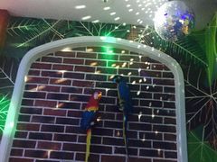 -米乐星世界KTV(汇智国际商业中心店)