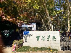 -灵谷景区