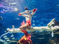 -海合安武汉极地海洋公园