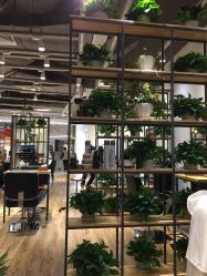 -曼都发型·臻选