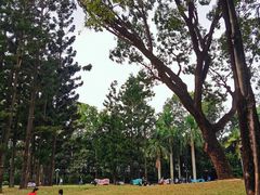 -人民公园(罗湖区)