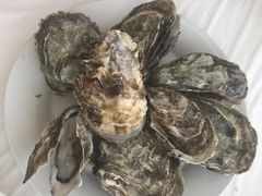 -渔民船说·北塘海鲜·天津菜·海肠捞饭(北塘古镇店)