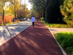 -奥林匹克森林公园南门-停车场