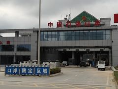 -打洛口岸