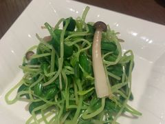 -张生记(丁香国际店)