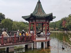 -东莞市可园博物馆