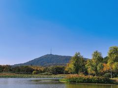 -大蜀山国家森林公园