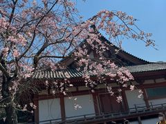 -醍醐寺