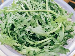 茼蒿-老殷锅仔