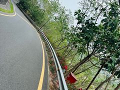 -小南山公园