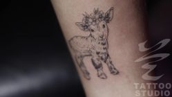 -见雾TATTOO STUDIO
