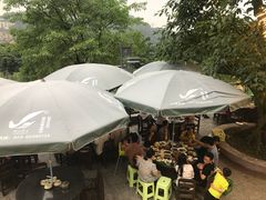 -老幺泉水鸡