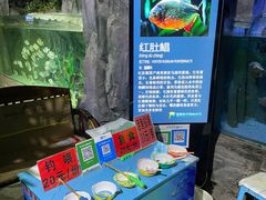 -蓬莱欧乐堡海洋极地世界