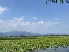 -野鸭湖国家湿地公园