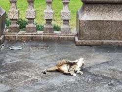 -巍阁高端月子会所