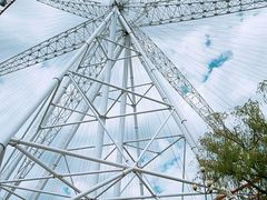 -哈尔滨文化公园