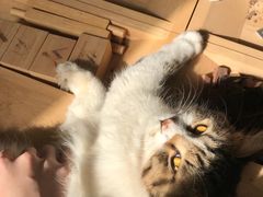 -五月木作·DIY木作文创体验店(北京路店)