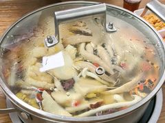 鲜美山珍土鸡菌汤锅-菌极鲜野生菌火锅店(阳明祠店)