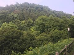 -杭州少年儿童公园