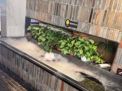 -0776食堂·京城创意菜(七里庄店)