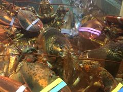 -快乐海鲜城(虎泉街店)