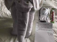 -青岛海尔洲际酒店