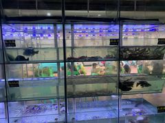 -海之鲜大排档(东山海鲜金銮湾店)