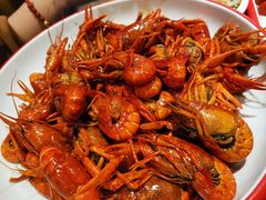 -不炭白烧烤(成都首店)
