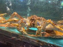 -潮粤香海鲜酒楼(沙湖店)