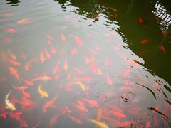 -华雅花园大酒店