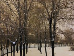 -长春市南湖公园