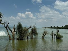 -捞渔河湿地公园