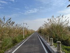 -芒洲湿地公园