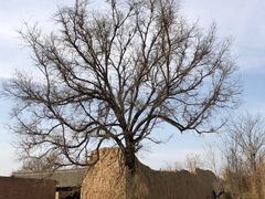 -丁村民俗博物馆