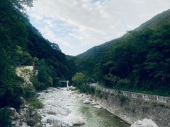 -都江堰石锅鱼